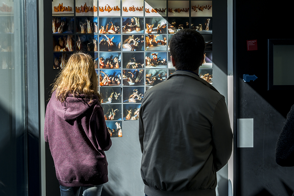 Des étudiants face à des photographies contemplent les tirages