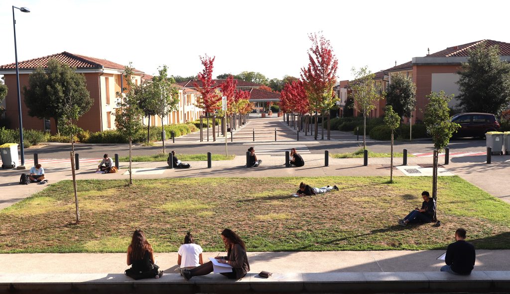 Des étudiants répartis sur une pelouse et des trottoirs, dessinant ou étudiant en extérieur dans un campus entouré d'arbres aux feuilles rouges en automne.